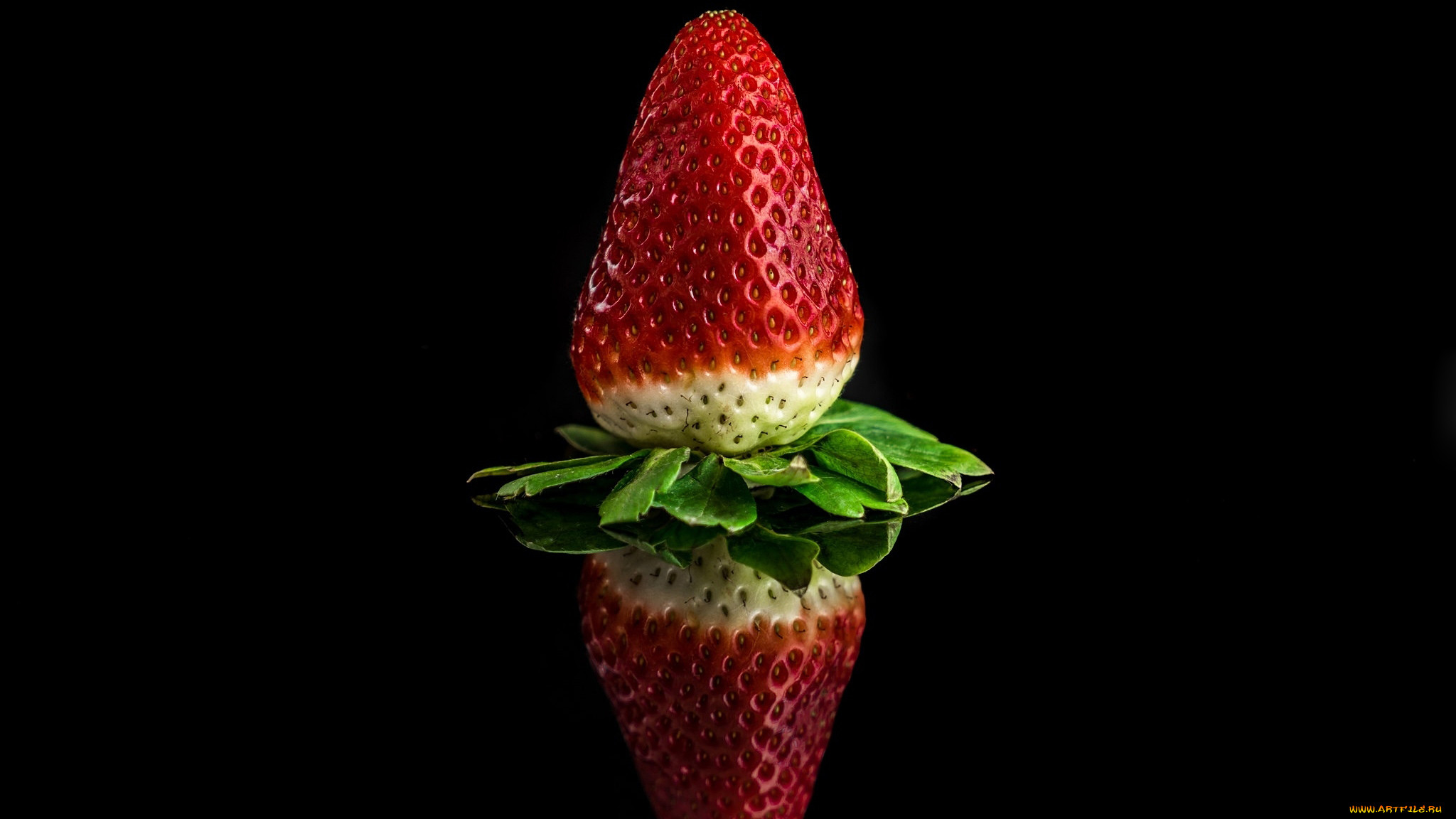 , ,  , 